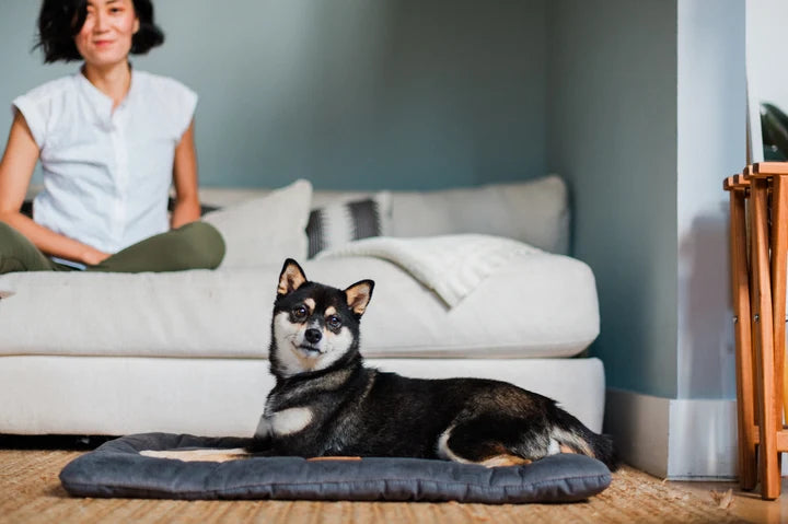 Soft Plush Pet Resting Pad