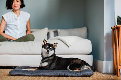 Soft Plush Pet Resting Pad