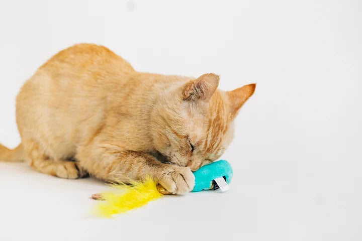 3-Piece Catnip Plush Toy