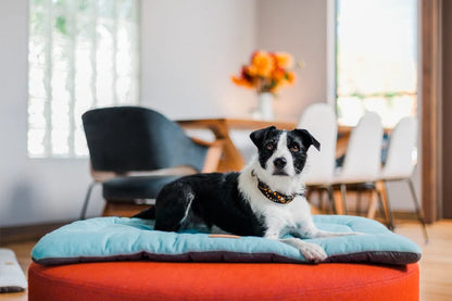 Soft Plush Pet Resting Pad
