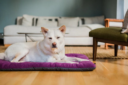 Soft Plush Pet Resting Pad