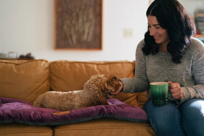 Soft Plush Pet Resting Pad